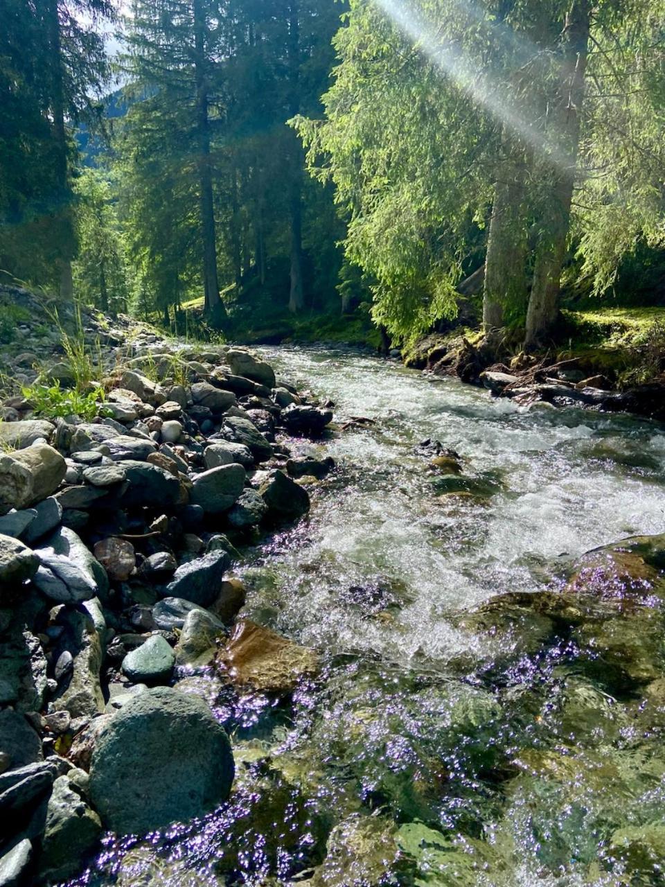 Appartement Mountain & Fun Saalbach-Hinterglemm Eksteriør billede